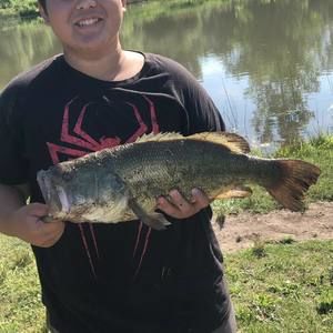 Meet your Posher, Samuel